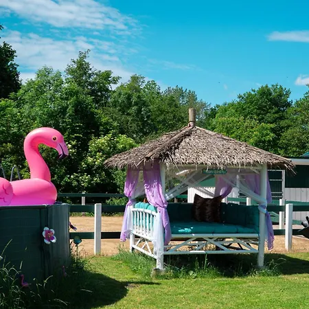 Boutique-hotel Art Zone Ranch 3* Osten