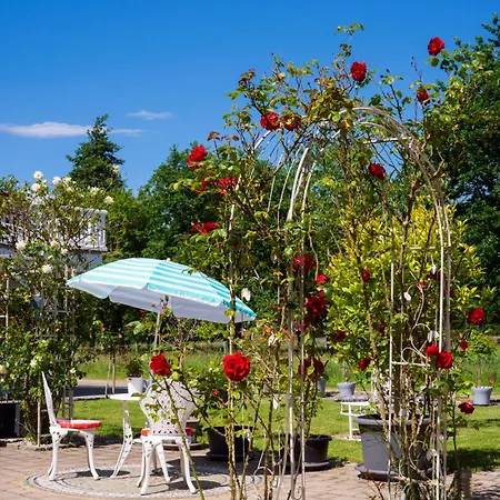 Boutique-hotel Art Zone Ranch 3*