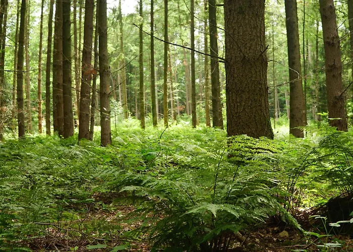 Boutique-hotel Art Zone Ranch 3* Osten