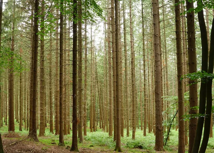 Boutique-hotel Art Zone Ranch Отель типа 