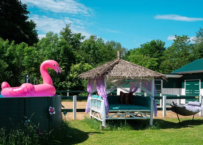 Boutique-hotel Art Zone Ranch 3* Osten