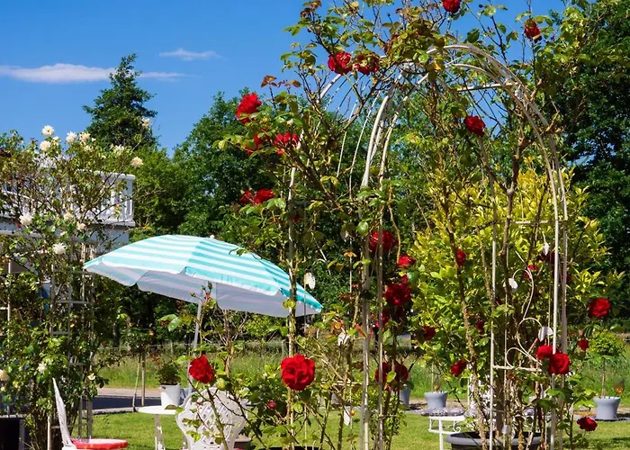 Boutique-hotel Art Zone Ranch 3*