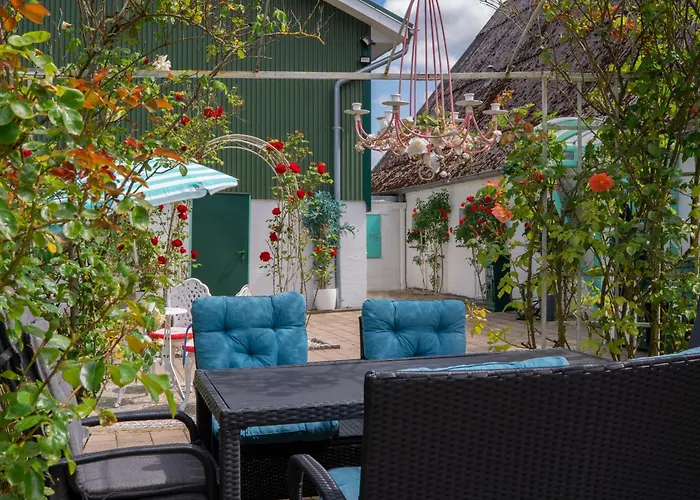 Boutique-hotel Art Zone Ranch Отель типа 