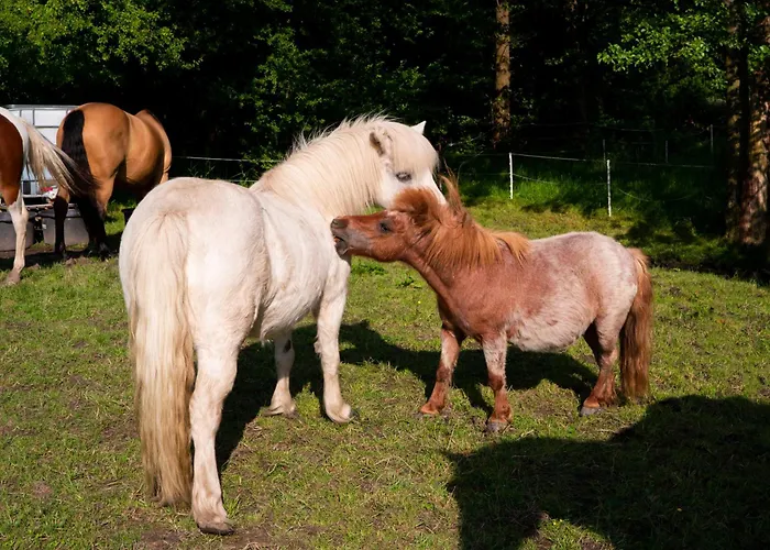 Boutique-hotel Art Zone Ranch Отель типа 